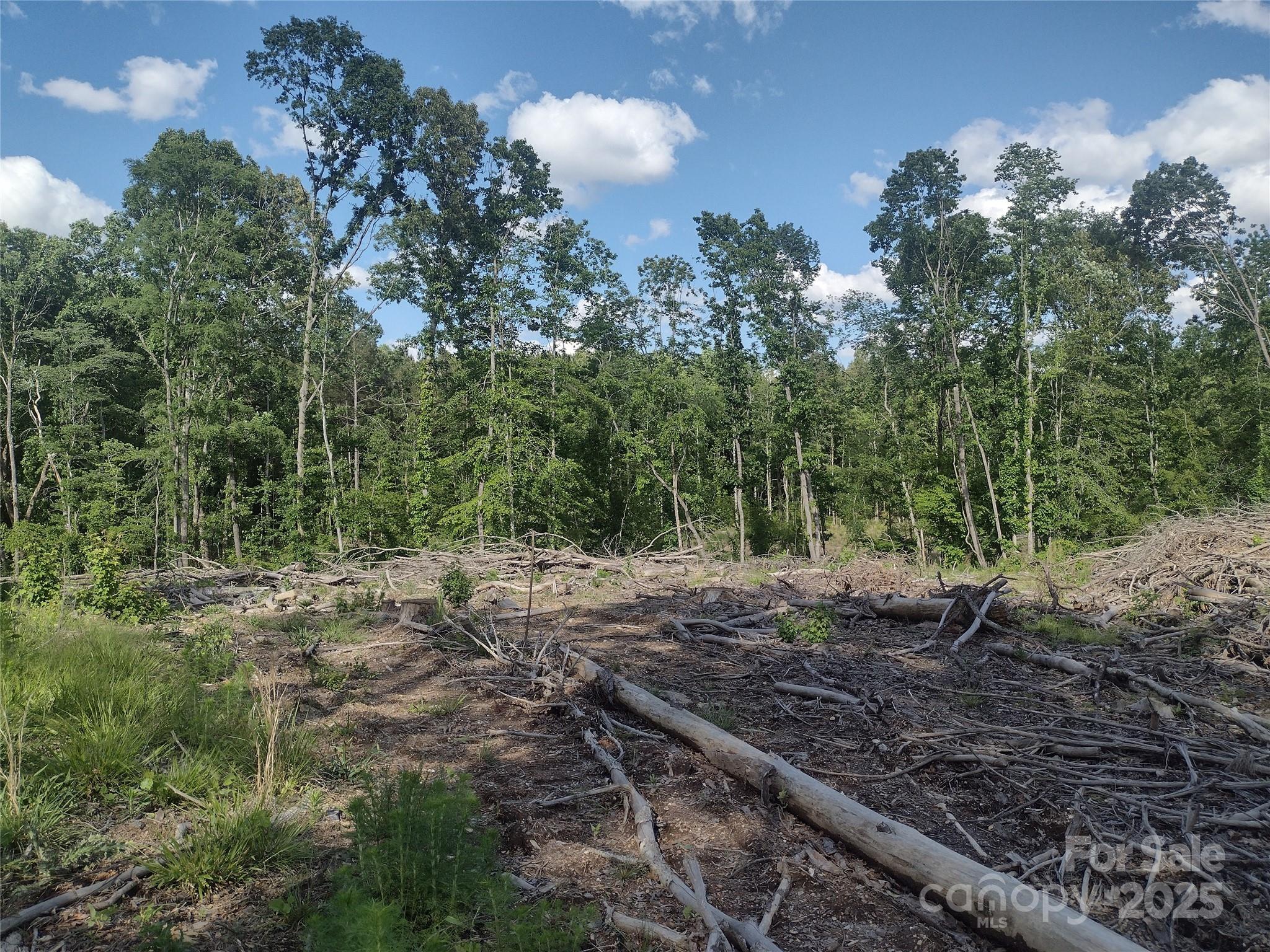 1816 Trinity Church Road Monroe, NC 28112 - Photo 4 of 5 a backyard of a house with lots of green space