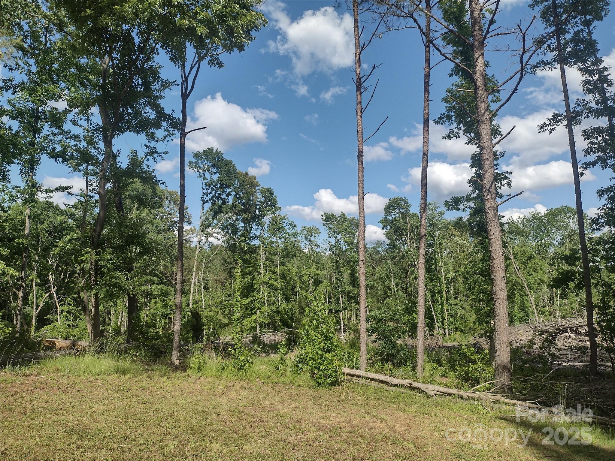 1816 Trinity Church Road Monroe, NC 28112 - Photo 5 of 5 a view of backyard