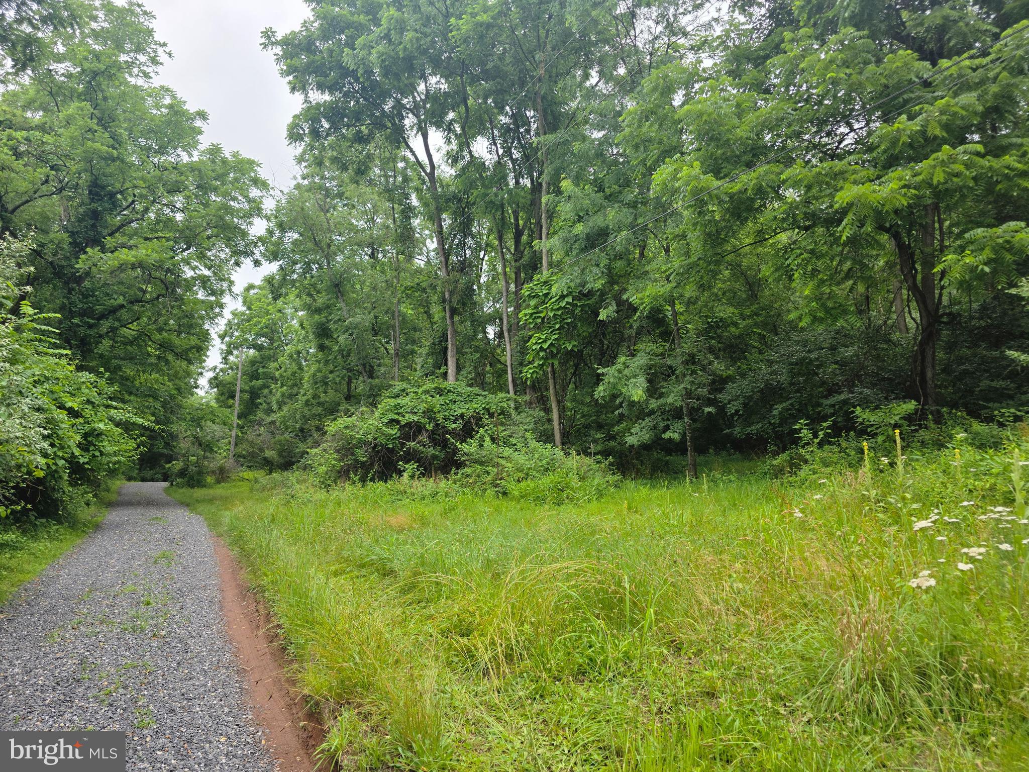 Lot 4 Sunshine Road Lykens, PA 17048 - Photo 2 of 12 Gallery Image 2