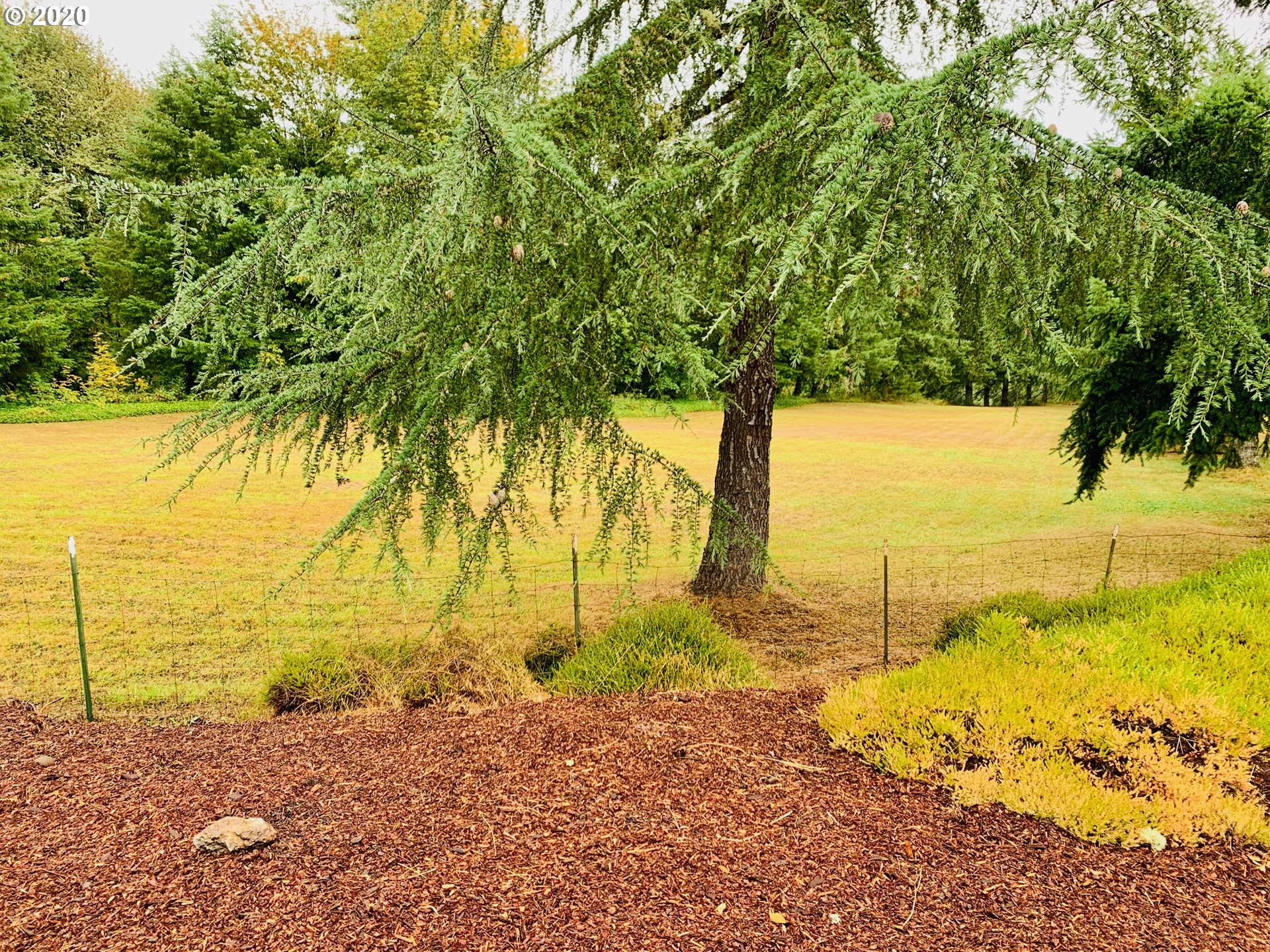 74006 London Road Cottage Grove, OR 97424 - Photo 31 of 32 Gallery Image 31