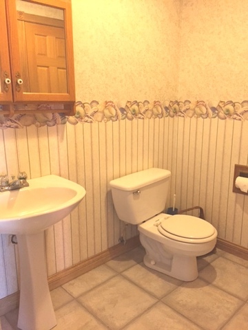 4370 East 250th Road Mendota, IL 61342 - Photo 16 of 23 a bathroom with a toilet a sink and a mirror