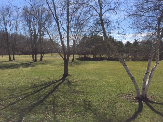 4370 East 250th Road Mendota, IL 61342 - Photo 22 of 23 a view of a yard with large trees