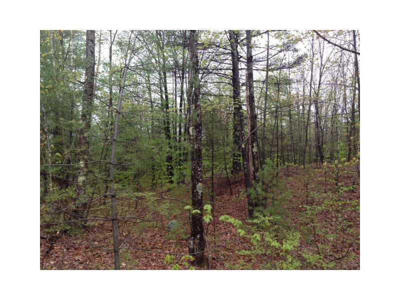 24 B Williams Road Lyman, ME 04002 - Photo 1 of 2 Land/Lot.