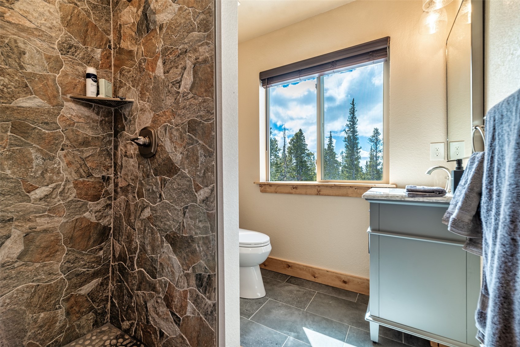 526 Porcupine Road Fairplay, CO 80440 - Photo 26 of 45 a bathroom with a sink and toilet