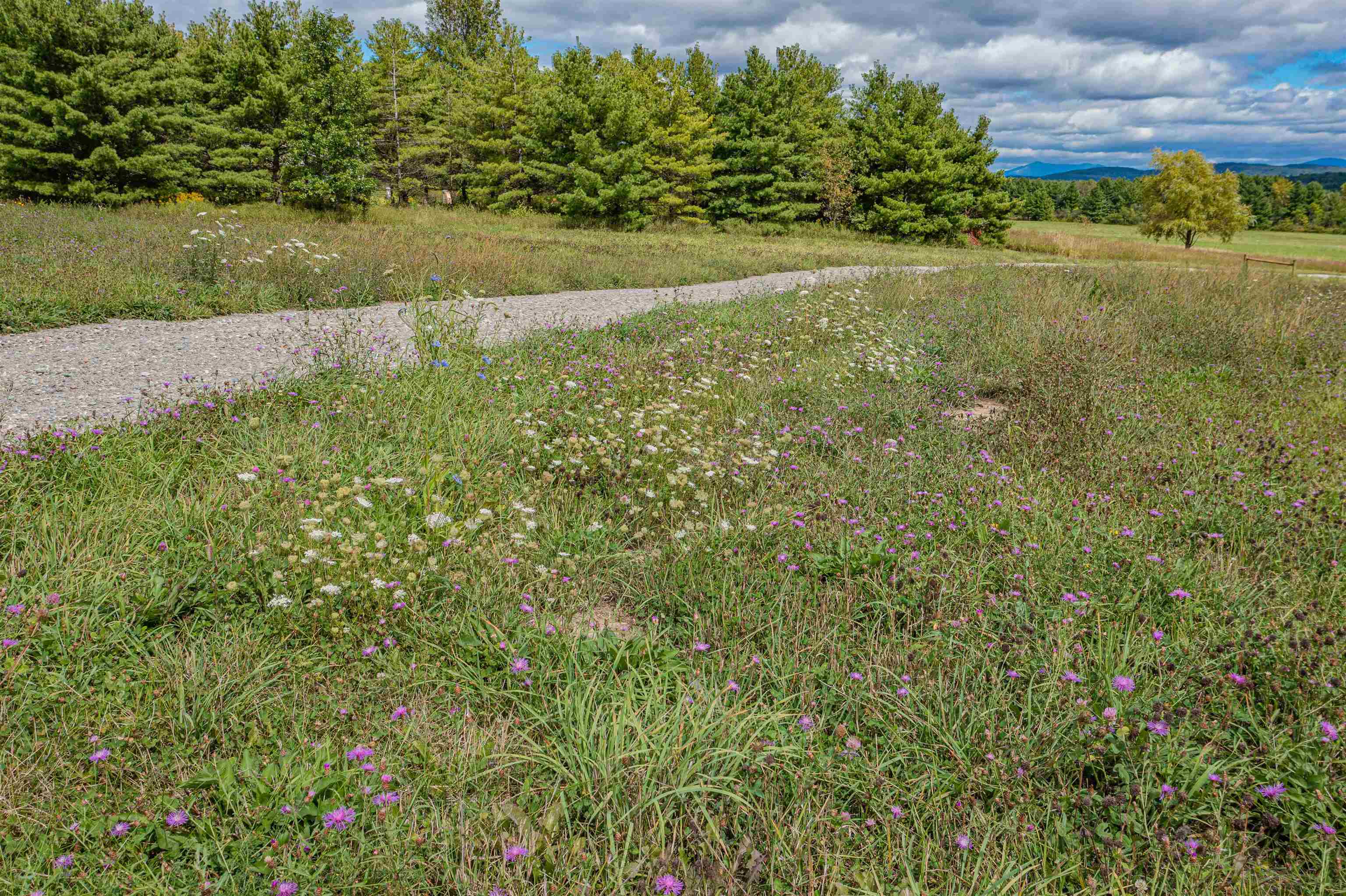 2201 Mt Philo Road Charlotte, VT 05445 - Photo 19 of 24 Gallery Image 19