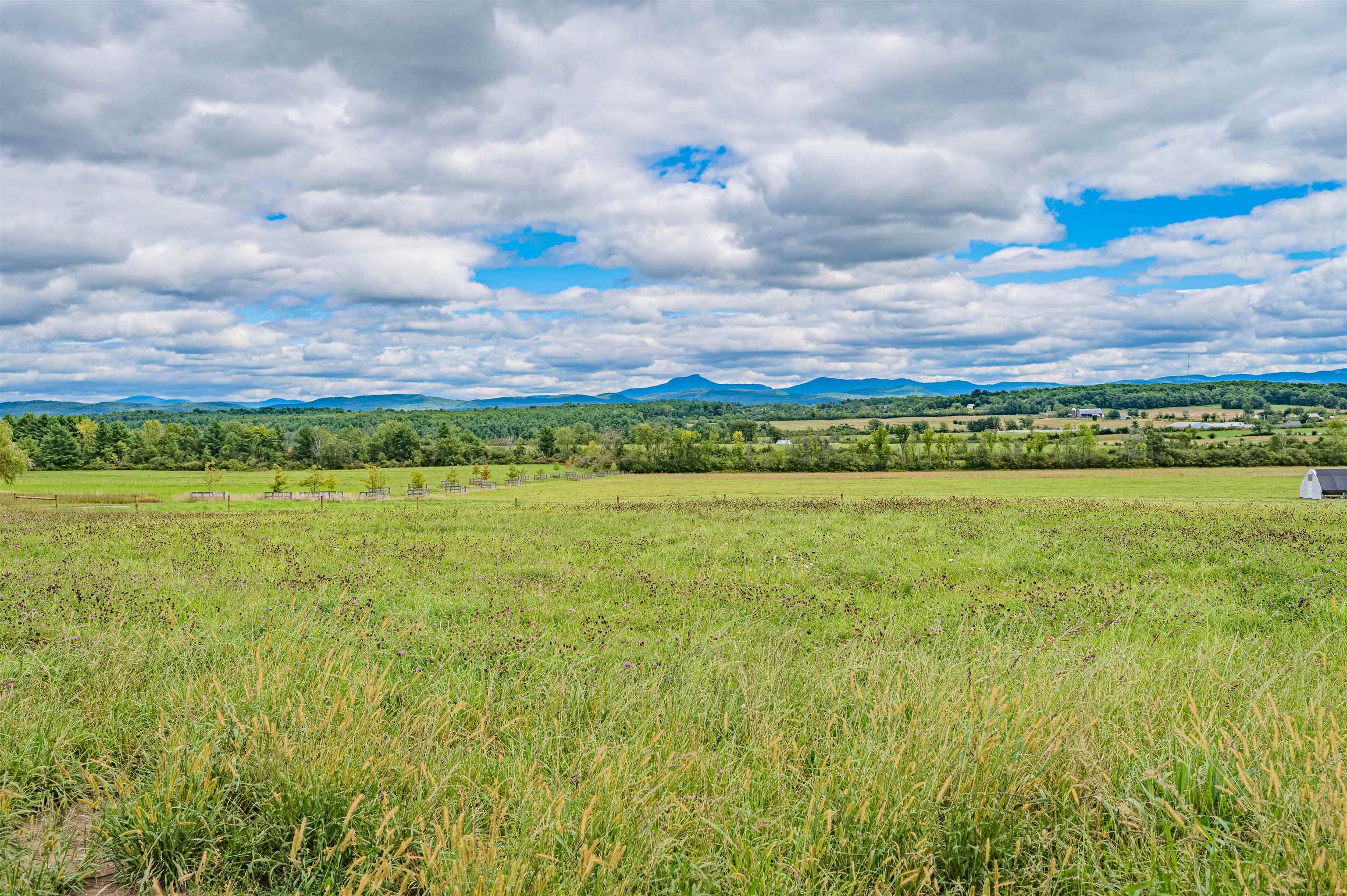 2201 Mt Philo Road Charlotte, VT 05445 - Photo 24 of 24 Gallery Image 24