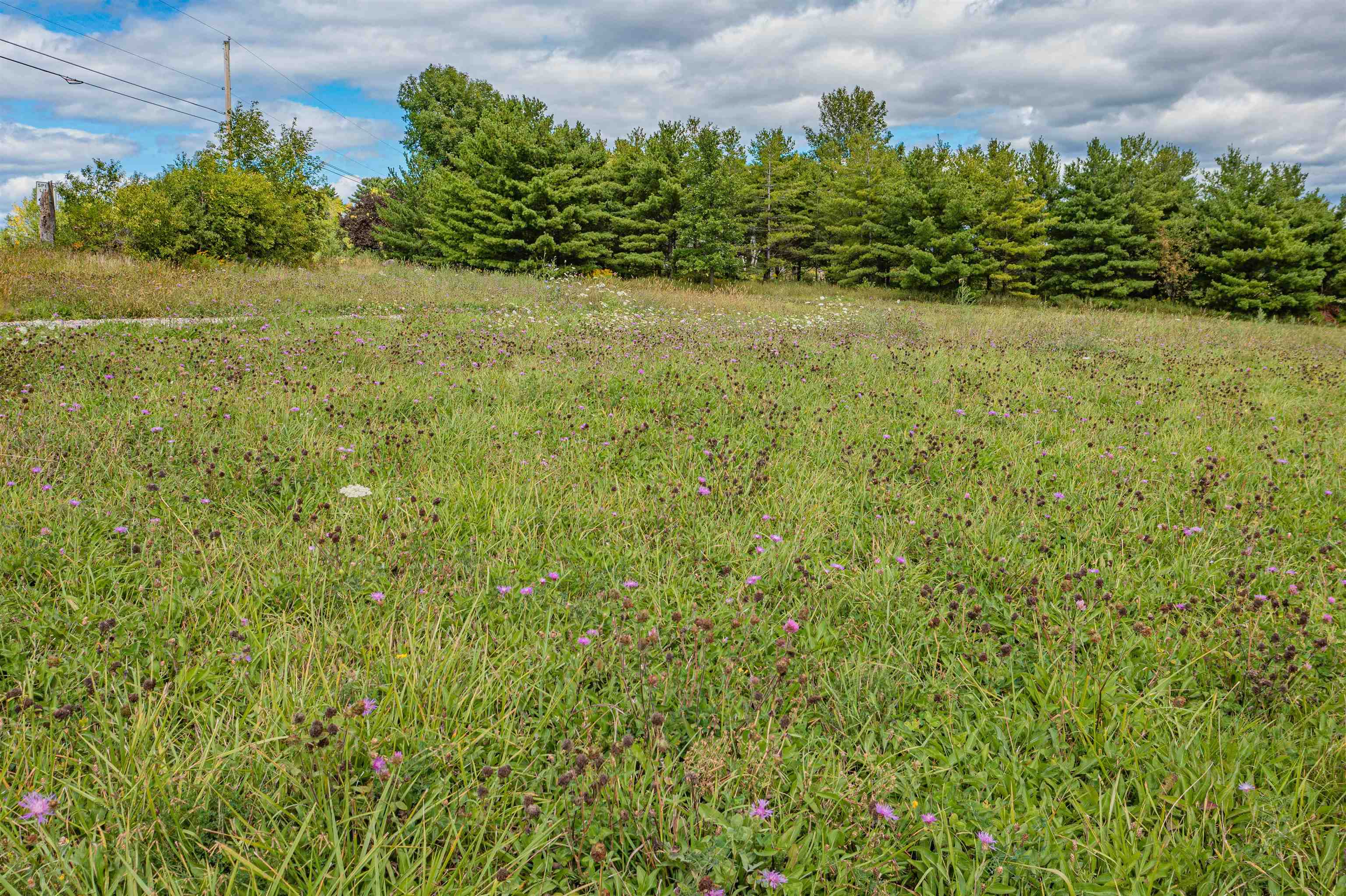 2201 Mt Philo Road Charlotte, VT 05445 - Photo 8 of 24 Gallery Image 8