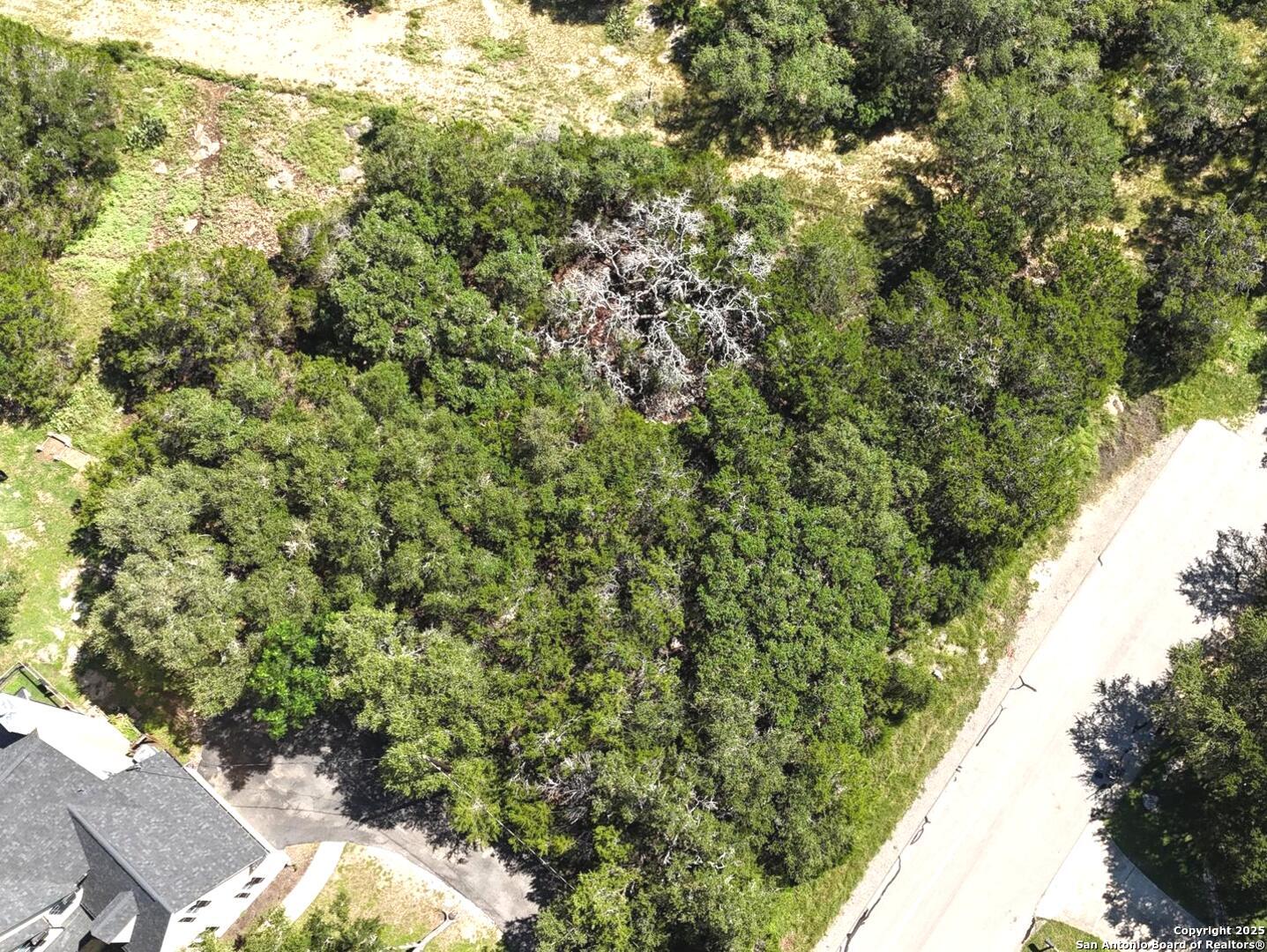 815 Winding River Lane Spring Branch, TX 78070 - Photo 2 of 9