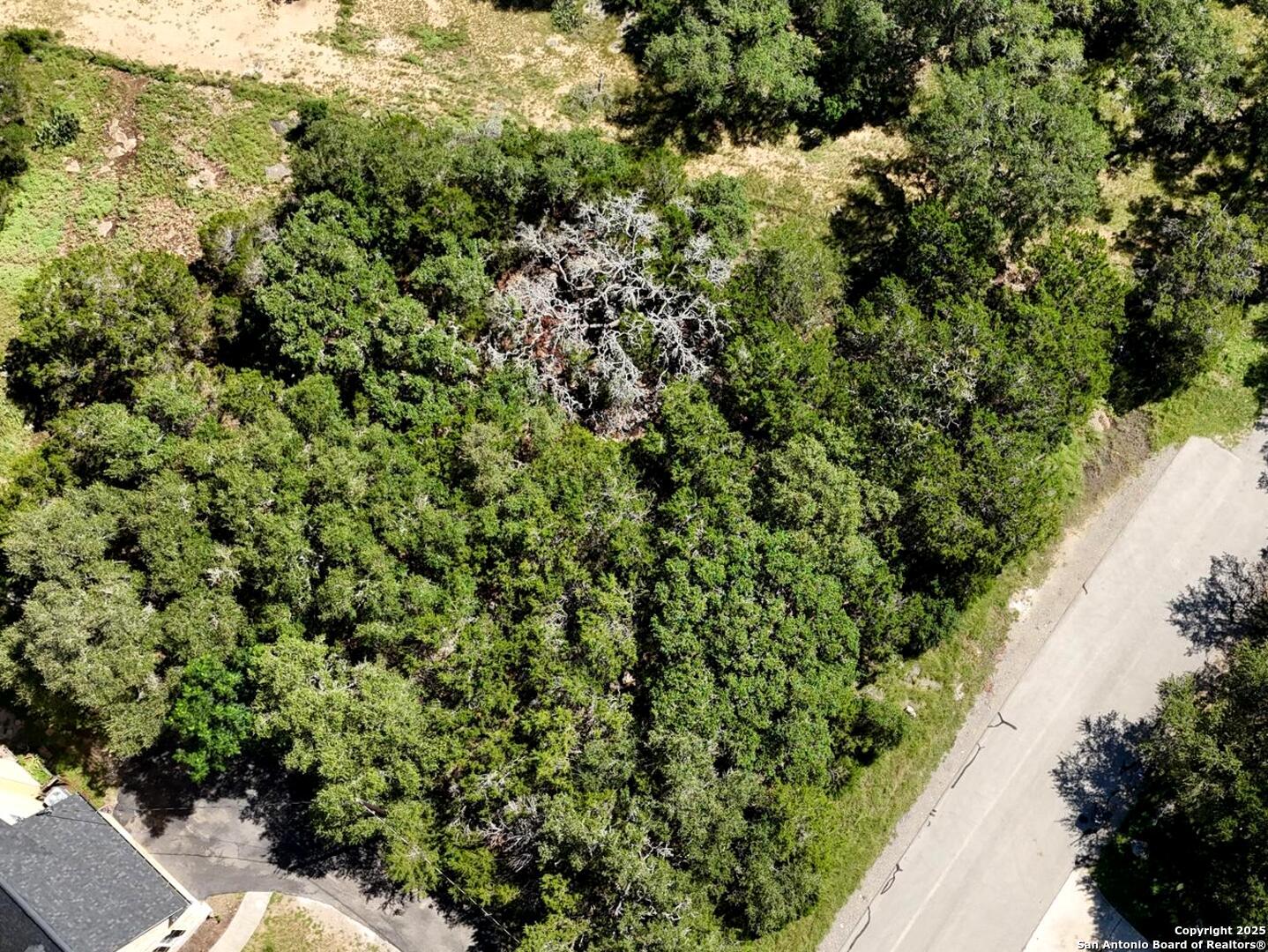 815 Winding River Lane Spring Branch, TX 78070 - Photo 3 of 9 a view of a garden with a plant