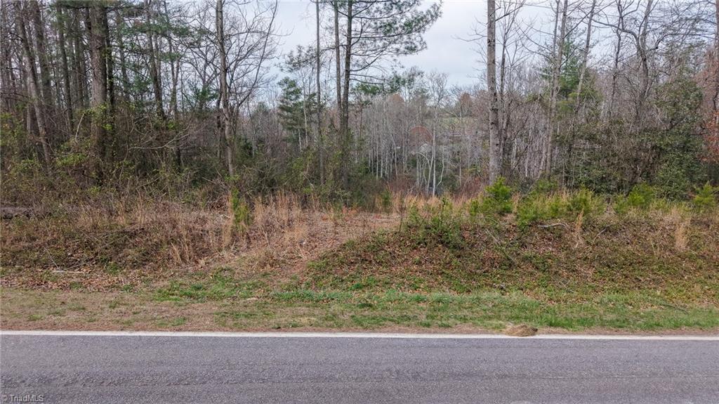 0 McKinley Road Roaring River, NC 28669 - Photo 10 of 35 Gallery Image 10