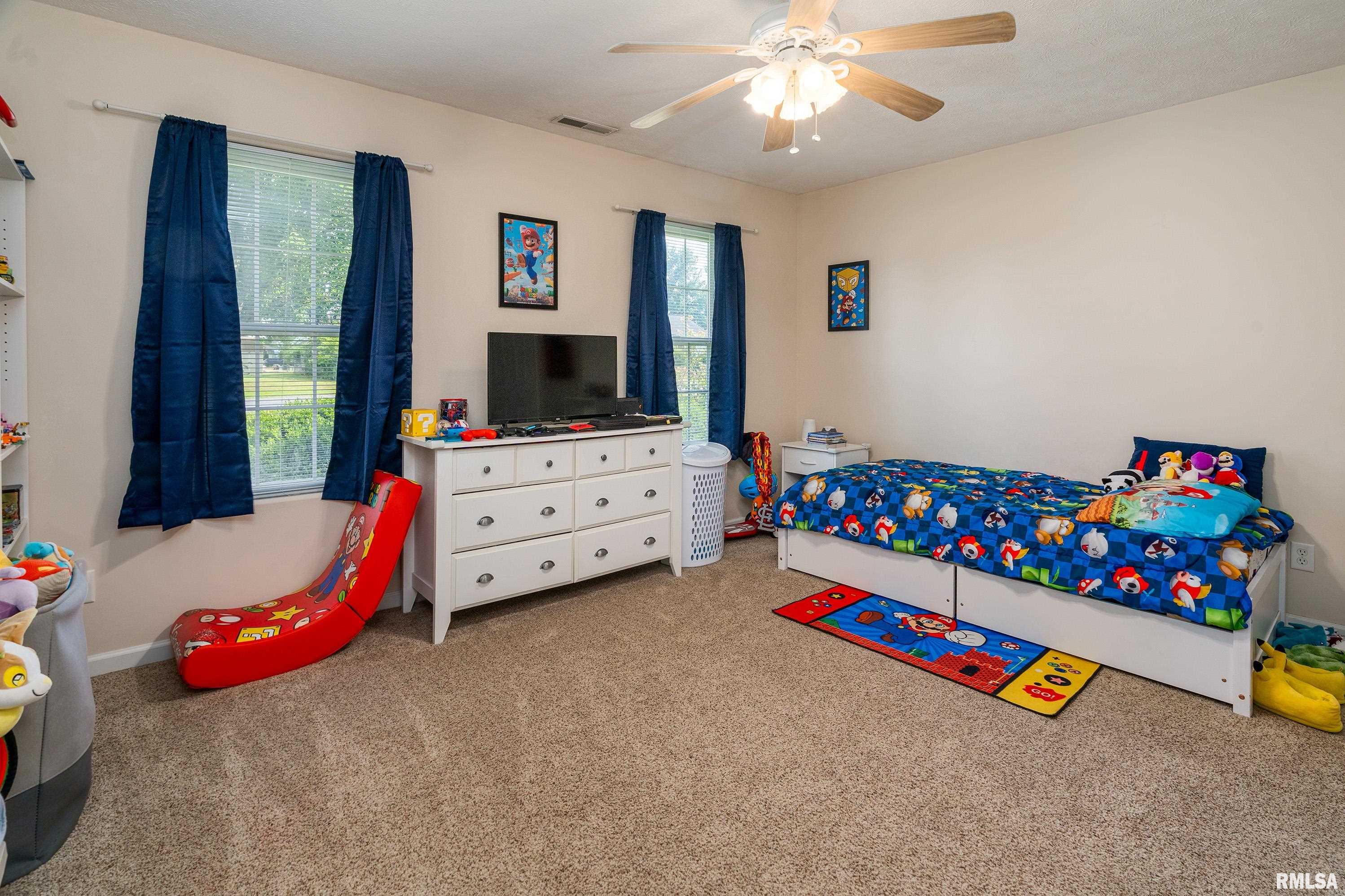307 Evergreen Trail Herrin, IL 62948 - Photo 17 of 33
