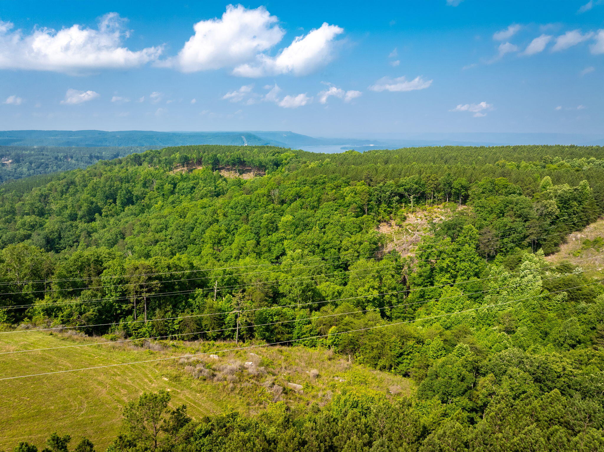 0 Split Rail Way, Unit LOT 1193 Guild, TN 37340 - Photo 12 of 18 12-web-or-mls-DJI_20250604075313_0916_D-