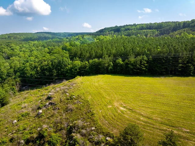 $175,000 | 0 Split Rail Way, Unit LOT 1193, Guild, TN 37340