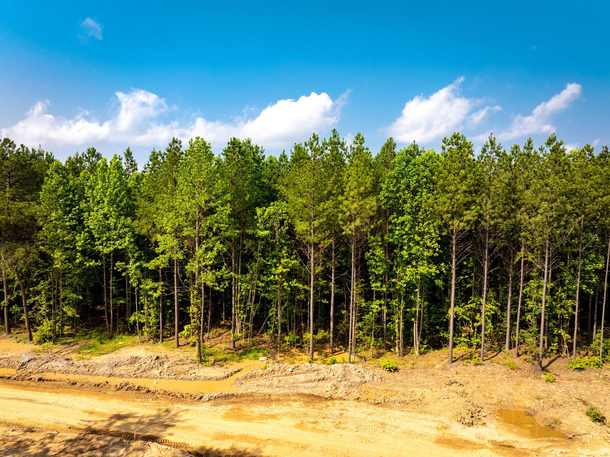 0 Split Rail Way, Unit LOT 1193 Guild, TN 37340 - Photo 17 of 18 17-web-or-mls-DJI_20250604075533_0941_D-