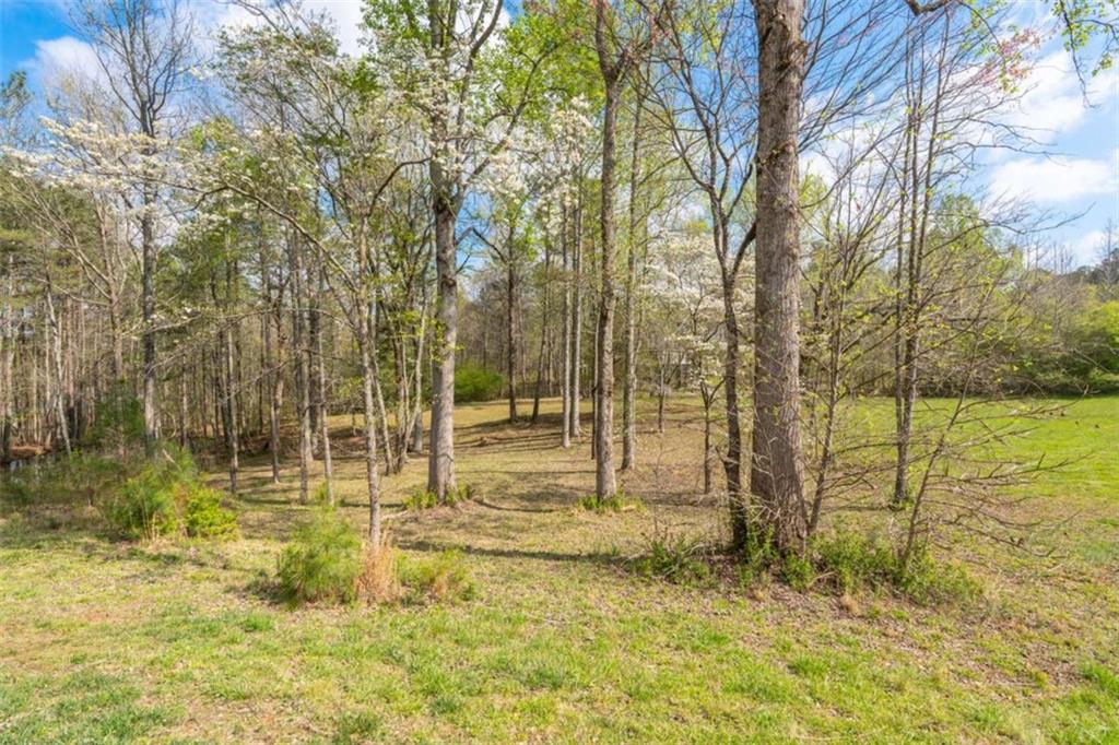 710 Little Vine Church Road Villa Rica, GA 30180 - Photo 53 of 69