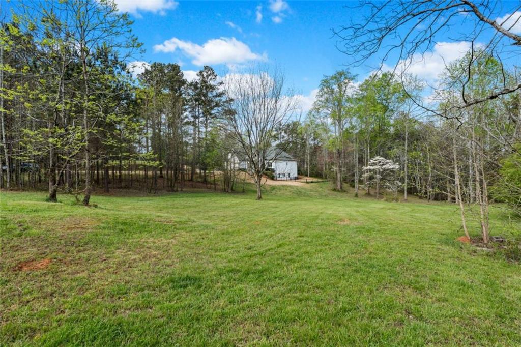 710 Little Vine Church Road Villa Rica, GA 30180 - Photo 55 of 69