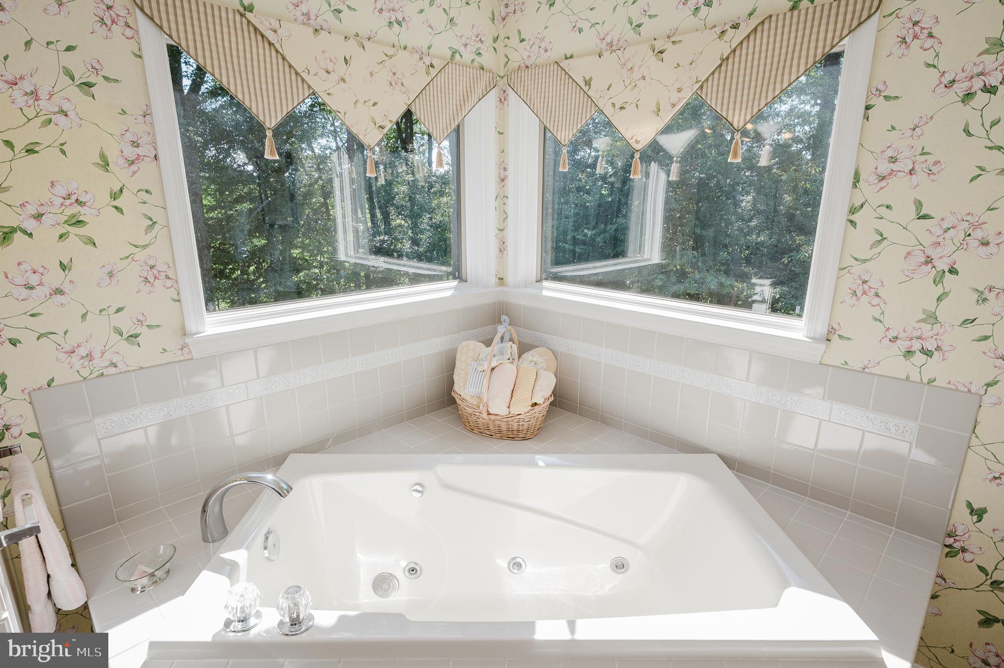 3505 St Paul Road Hampstead, MD 21074 - Photo 41 of 95 Corner Jetted Tub with windows to watch the stars