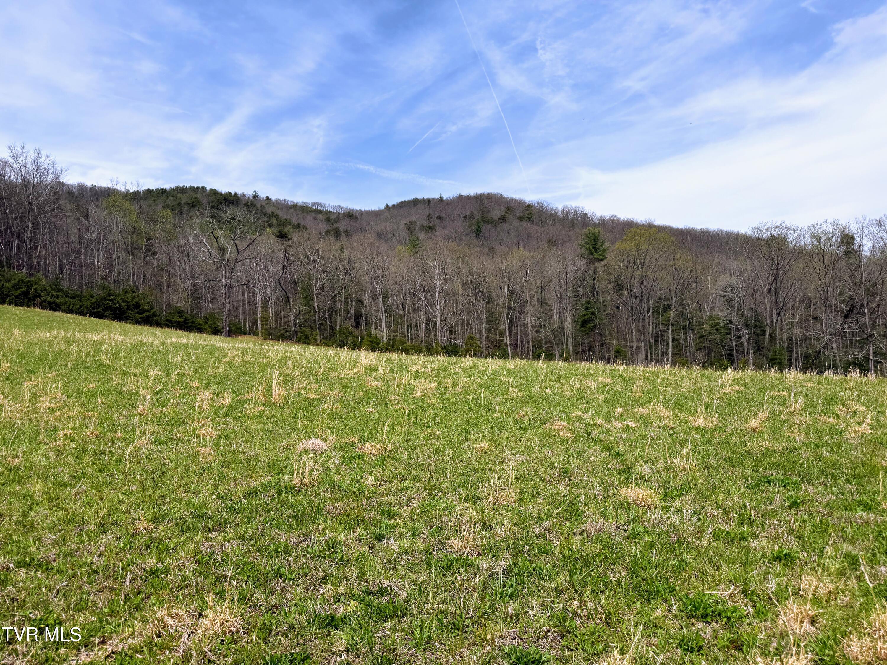 1b Rd Greeneville Tn 37743 Road Greeneville, TN 37743 - Photo 10 of 27 IMG_010