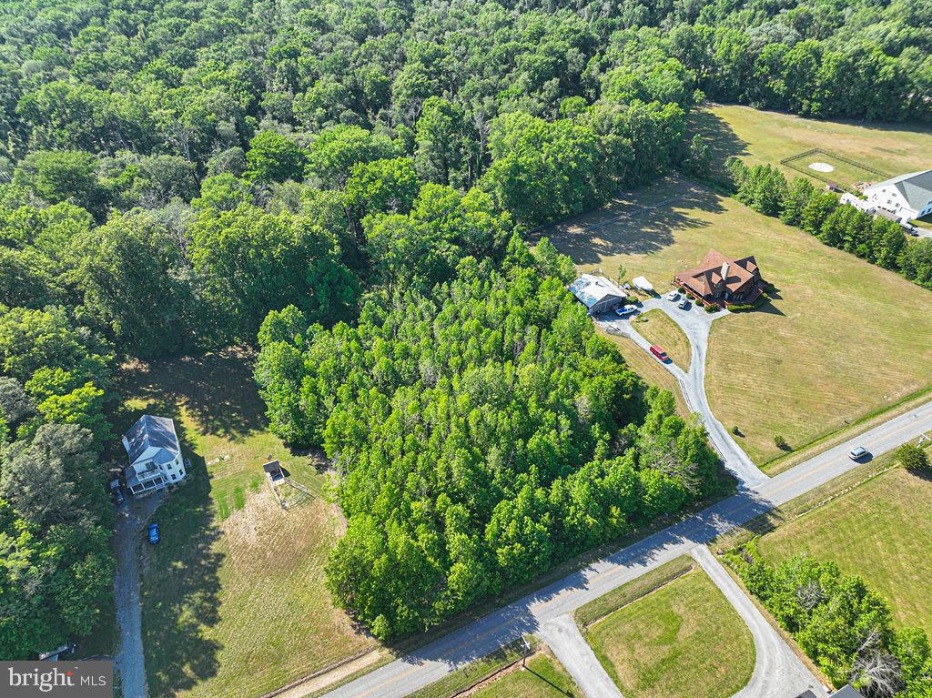 Lot 7 Bell Road Whaleyville, MD 21872 - Photo 18 of 20