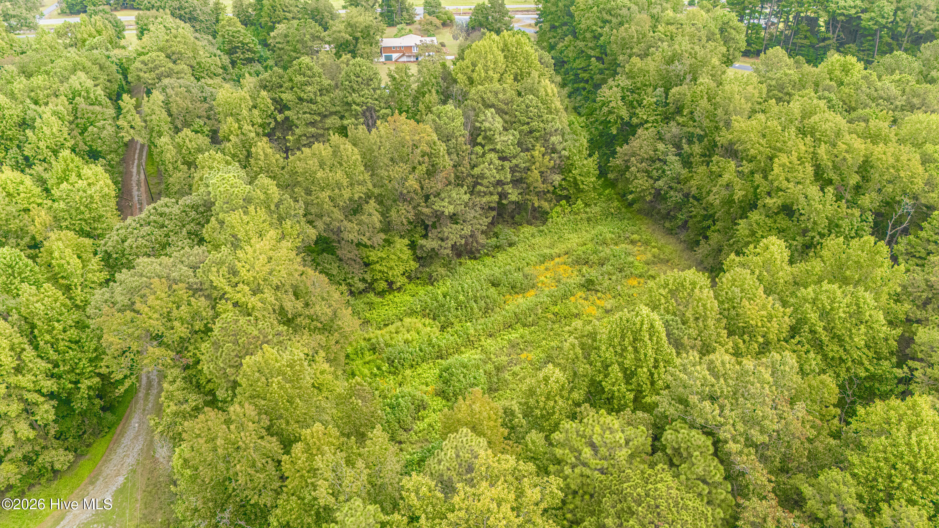 110 New Hope Church Road Star, NC 27356 - Photo 5 of 41 DJI_20260922104414_0007_D