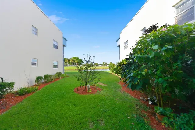 a view of a big yard with plants and a palm tree