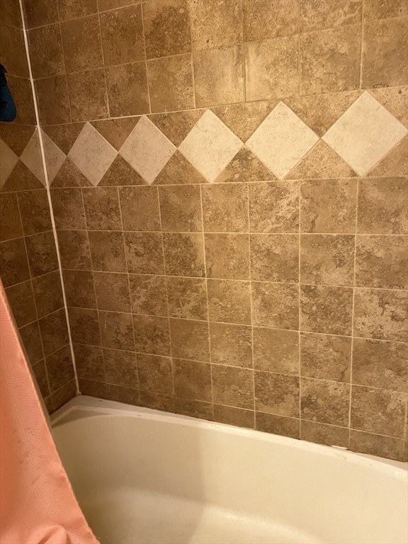 17 Federal Street, Unit 606 Worcester, MA 01608 - Photo 18 of 24 a bathroom with a bathtub and shower