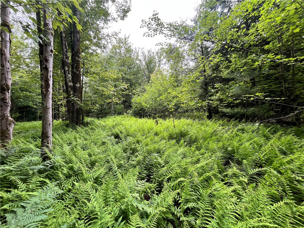 117 Albion Cross Road Parish, NY 13131 - Photo 19 of 34 Gallery Image 19
