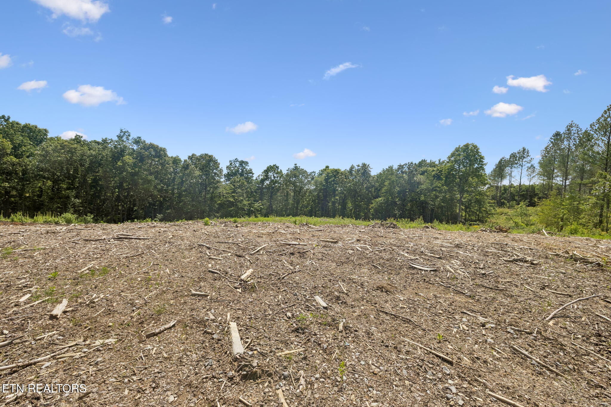 Sheep Ranch Road, Unit 24 Robbins, TN 37852 - Photo 13 of 33 1-Sheep Ranch Rd-001