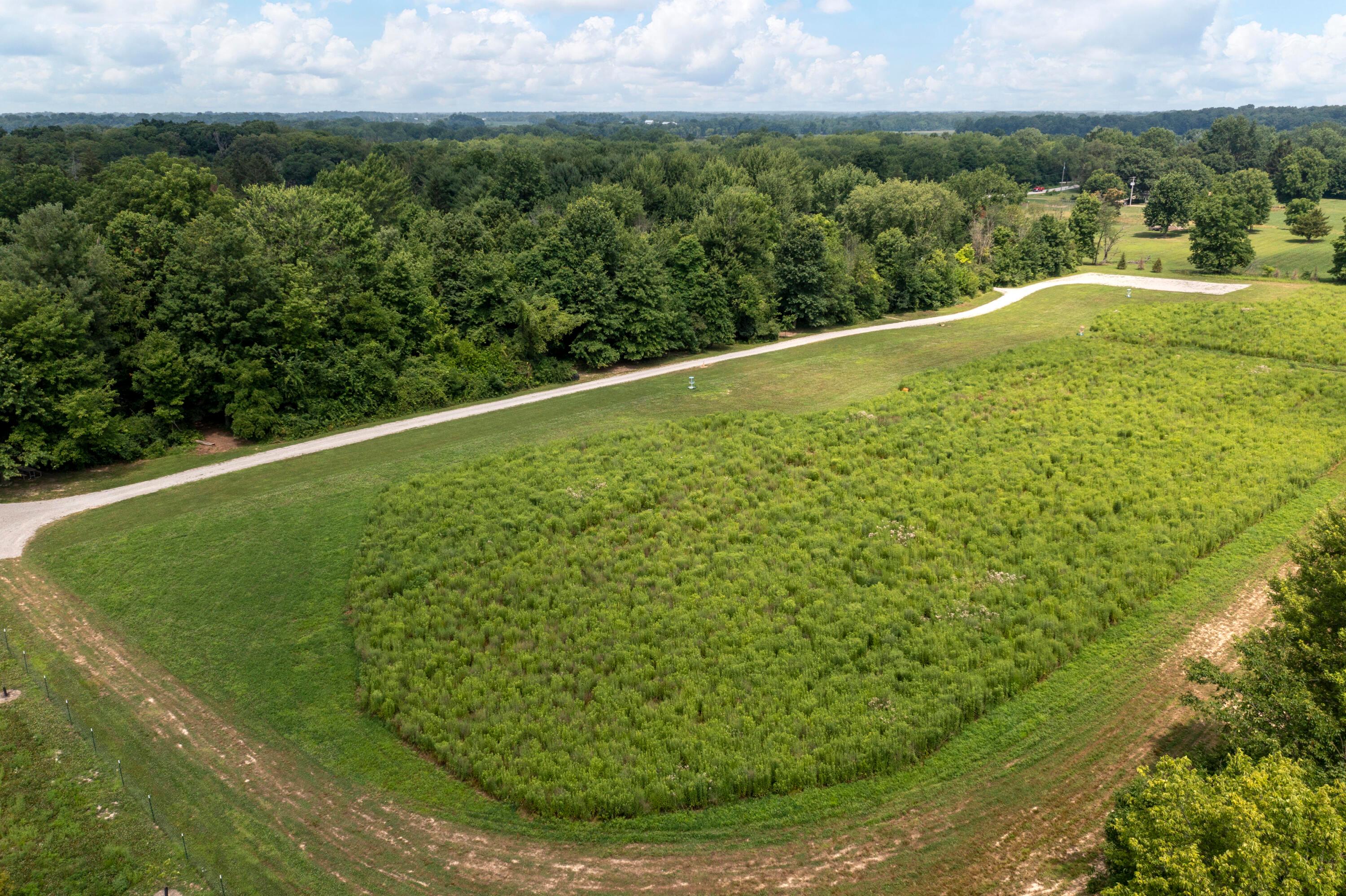 4474 Larue-Prospect Road South Prospect, OH 43342 - Photo 89 of 116 DJI_0421