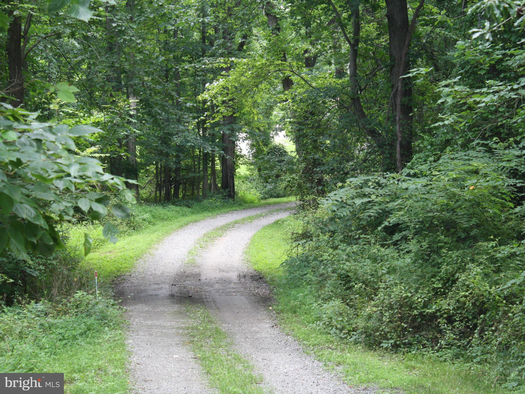 20169 Woodtrail Road Round Hill, VA 20141 - Photo 2 of 17 View