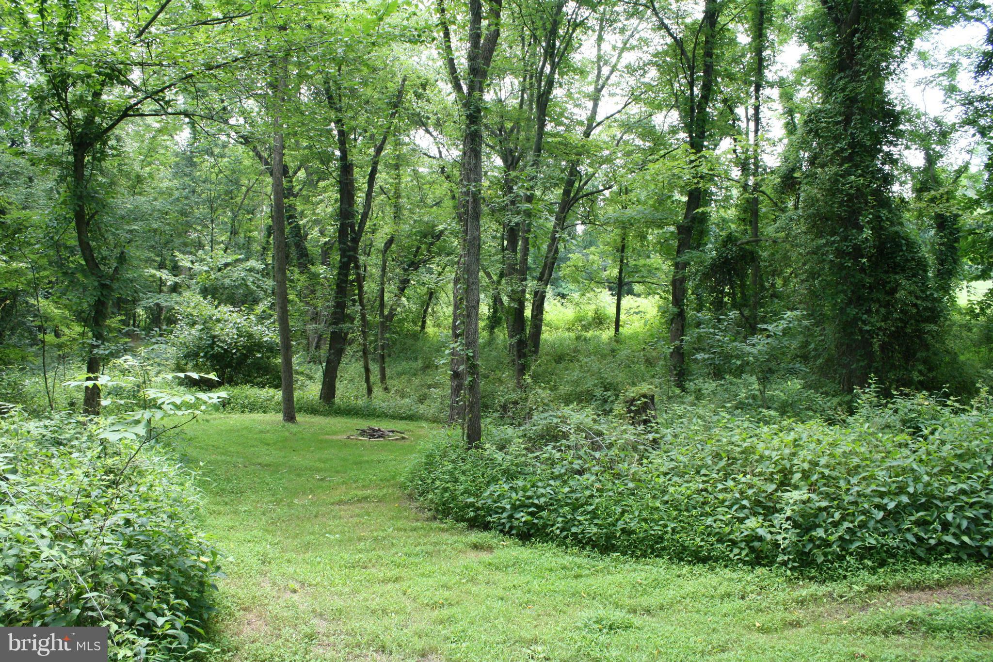 20169 Woodtrail Road Round Hill, VA 20141 - Photo 3 of 17 VIew