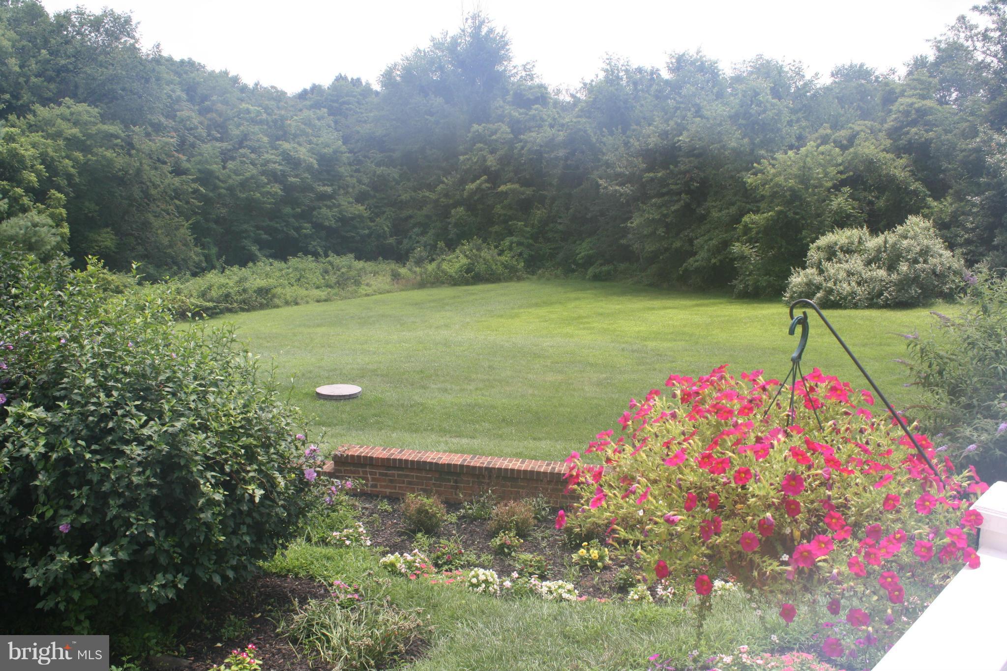 20169 Woodtrail Road Round Hill, VA 20141 - Photo 4 of 17 View from the deck