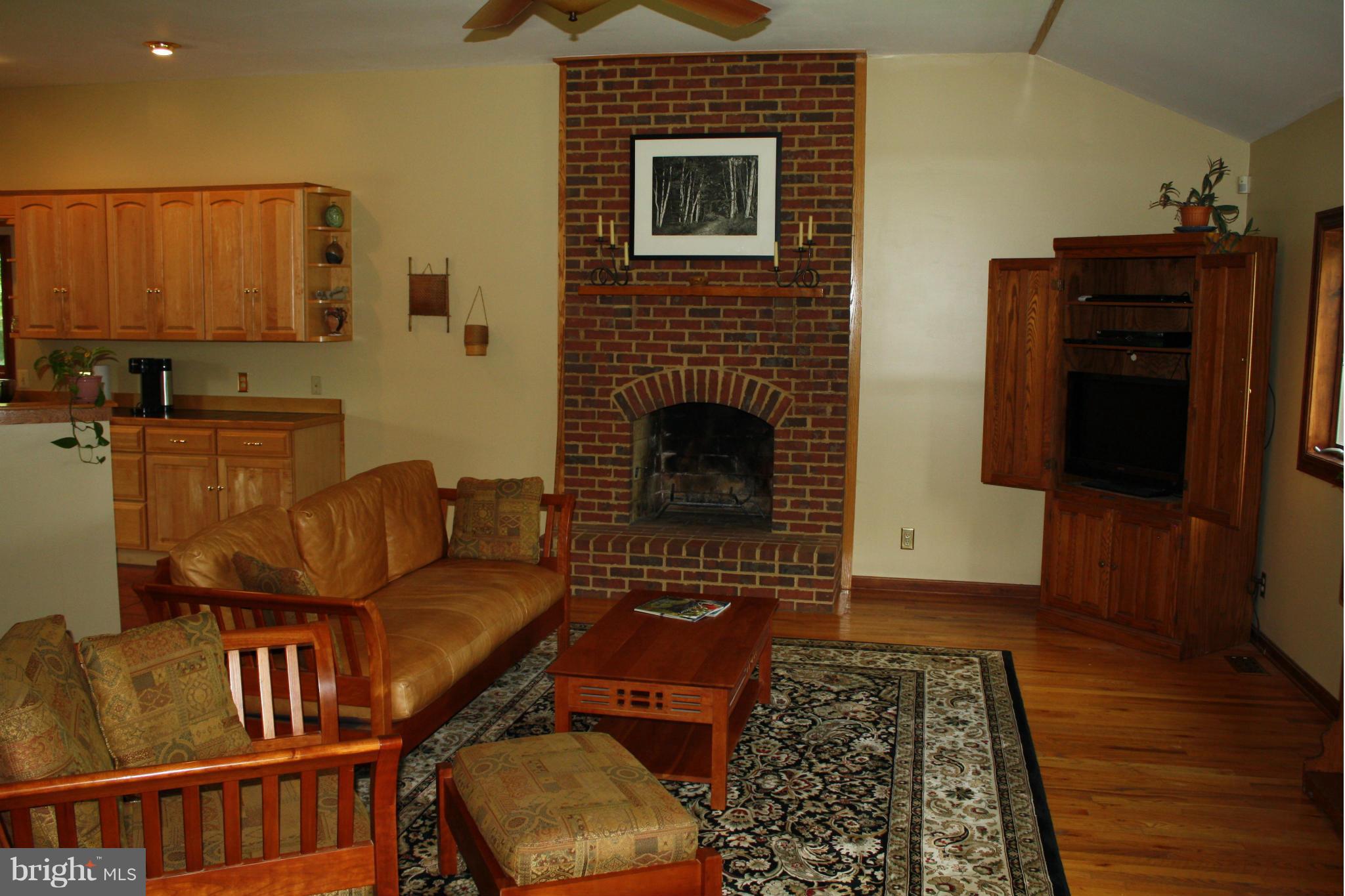 20169 Woodtrail Road Round Hill, VA 20141 - Photo 7 of 17 Great room with fireplace