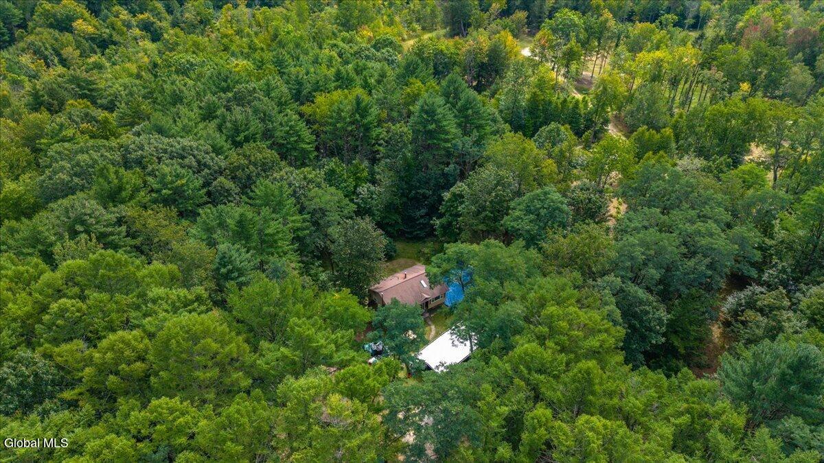383 Coy Road Greenfield, NY 12833 - Photo 8 of 44 45-383 Coy Rd-11