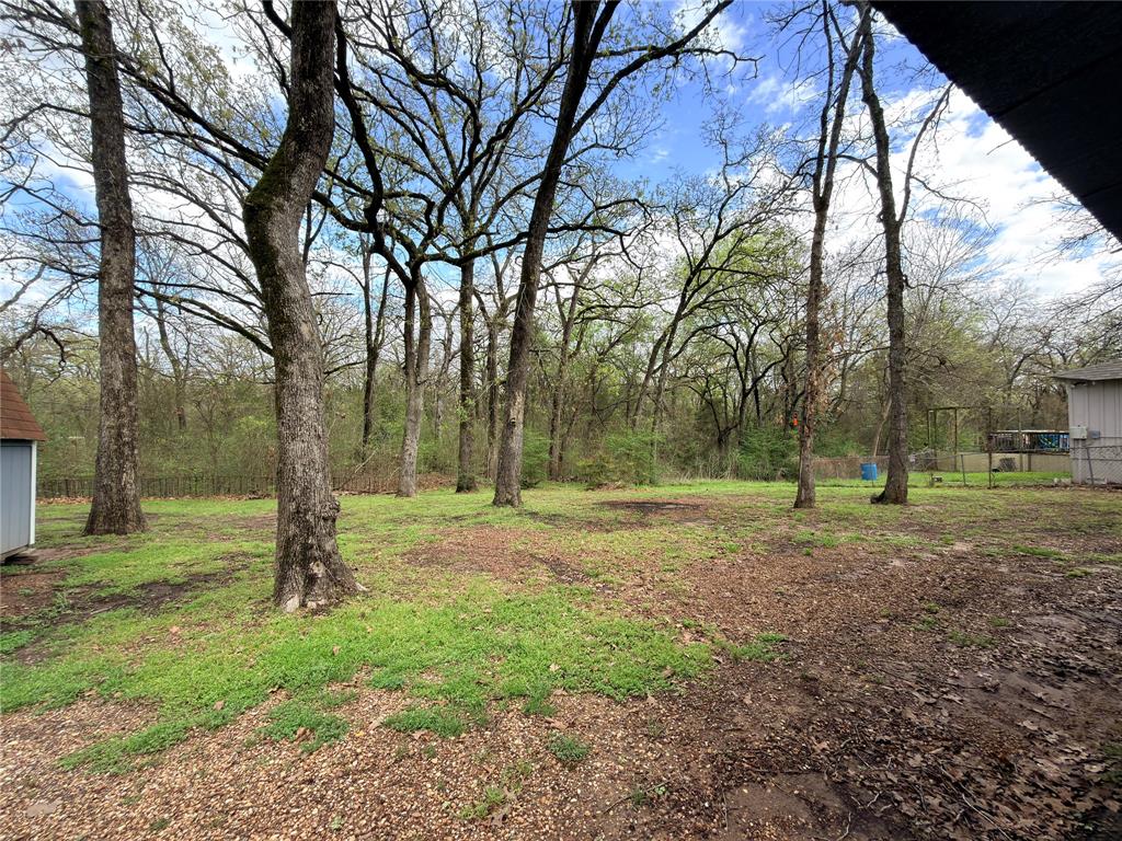 170 Granada Street Payne Springs, TX 75156 - Photo 16 of 20 a backyard of a house with lots of green space