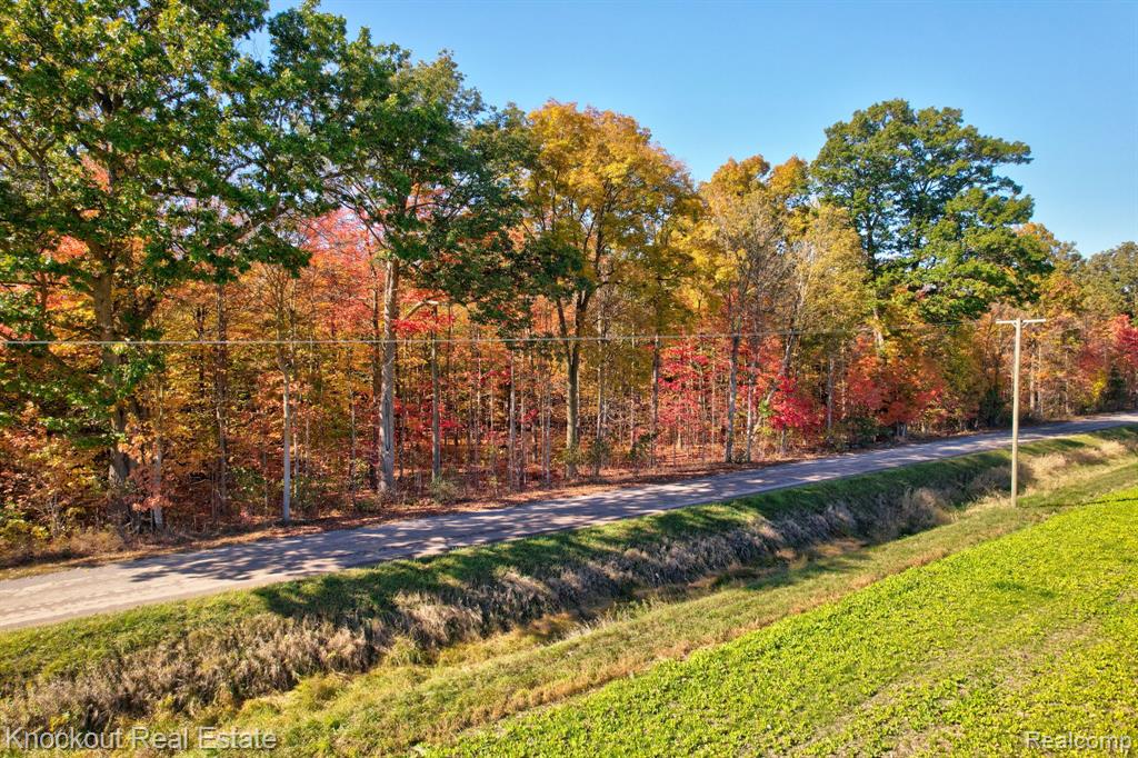 4000 South Reese Road Frankenmuth, MI 48734 - Photo 7 of 18