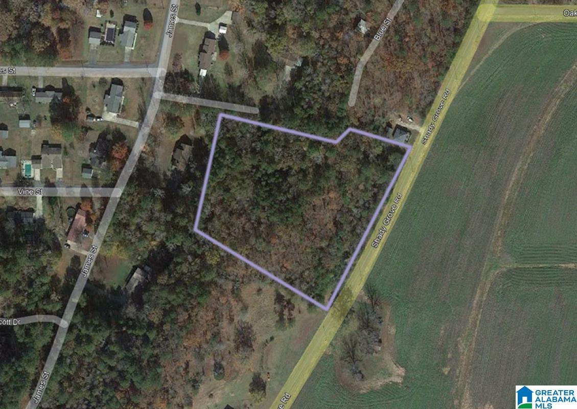 0 Shady Grove Road Piedmont, AL 36272 - Photo 1 of 1