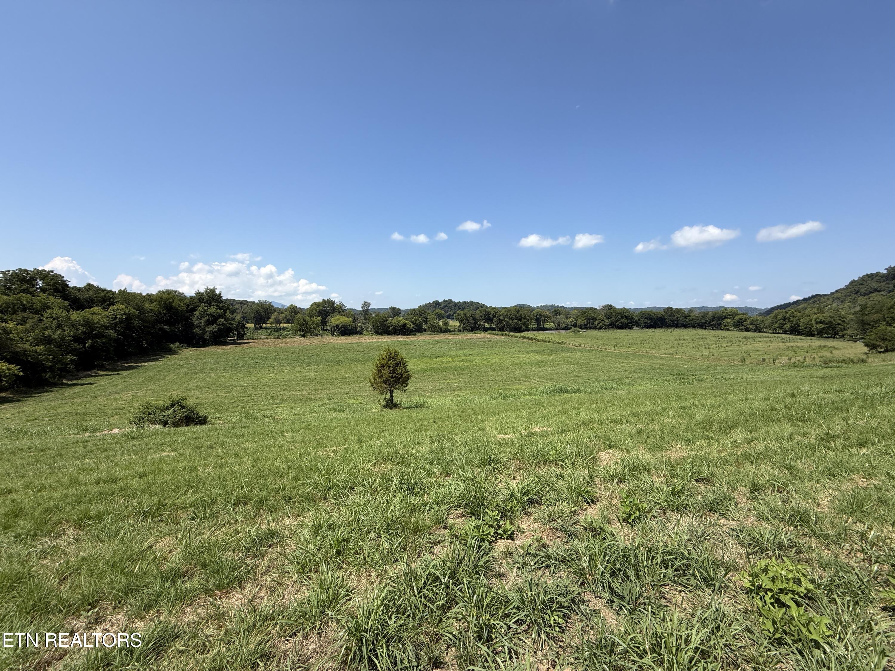 565 Highway 160 Newport, TN 37821 - Photo 15 of 40 IMG_3852