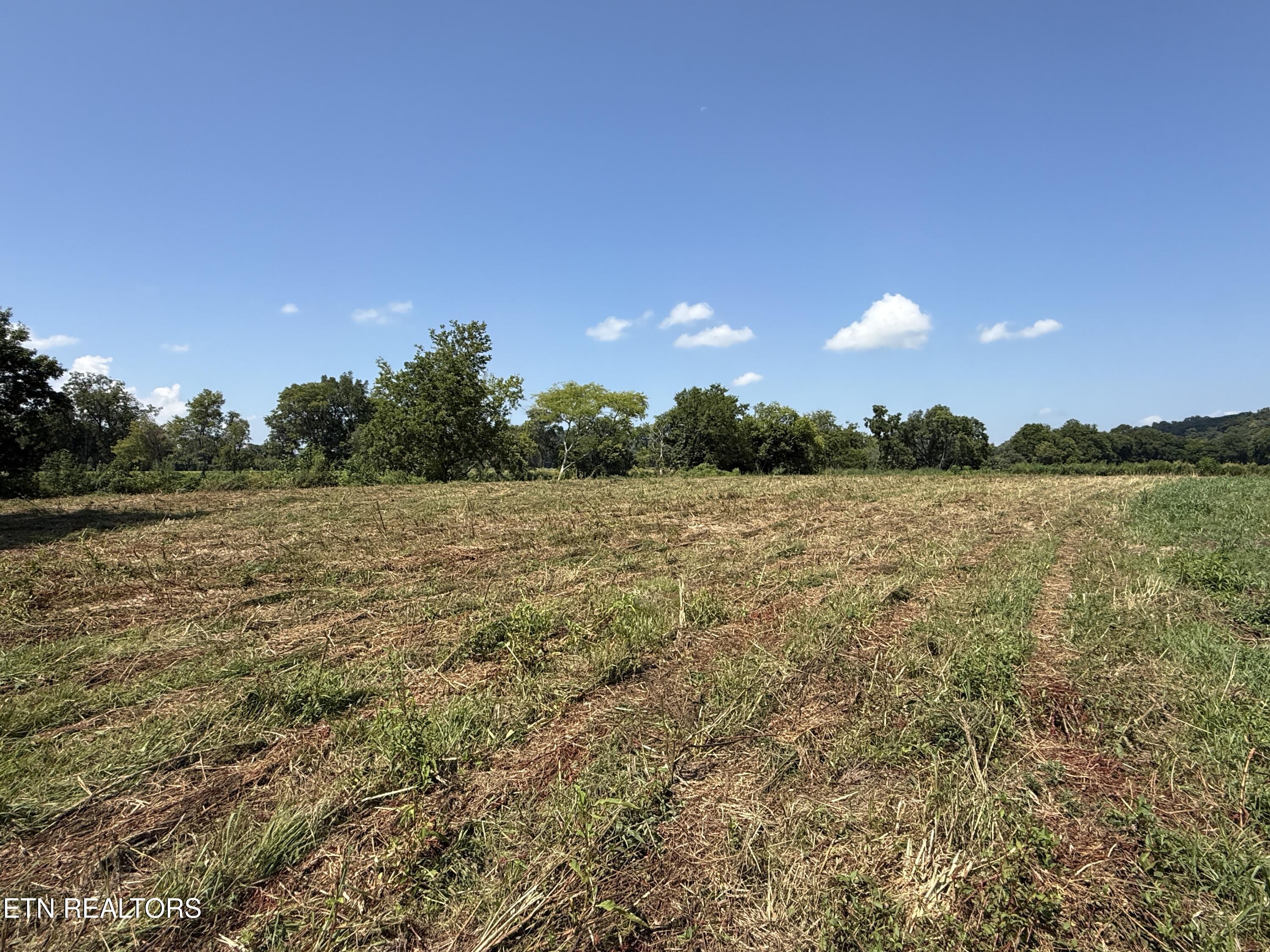 565 Highway 160 Newport, TN 37821 - Photo 16 of 40 IMG_3854