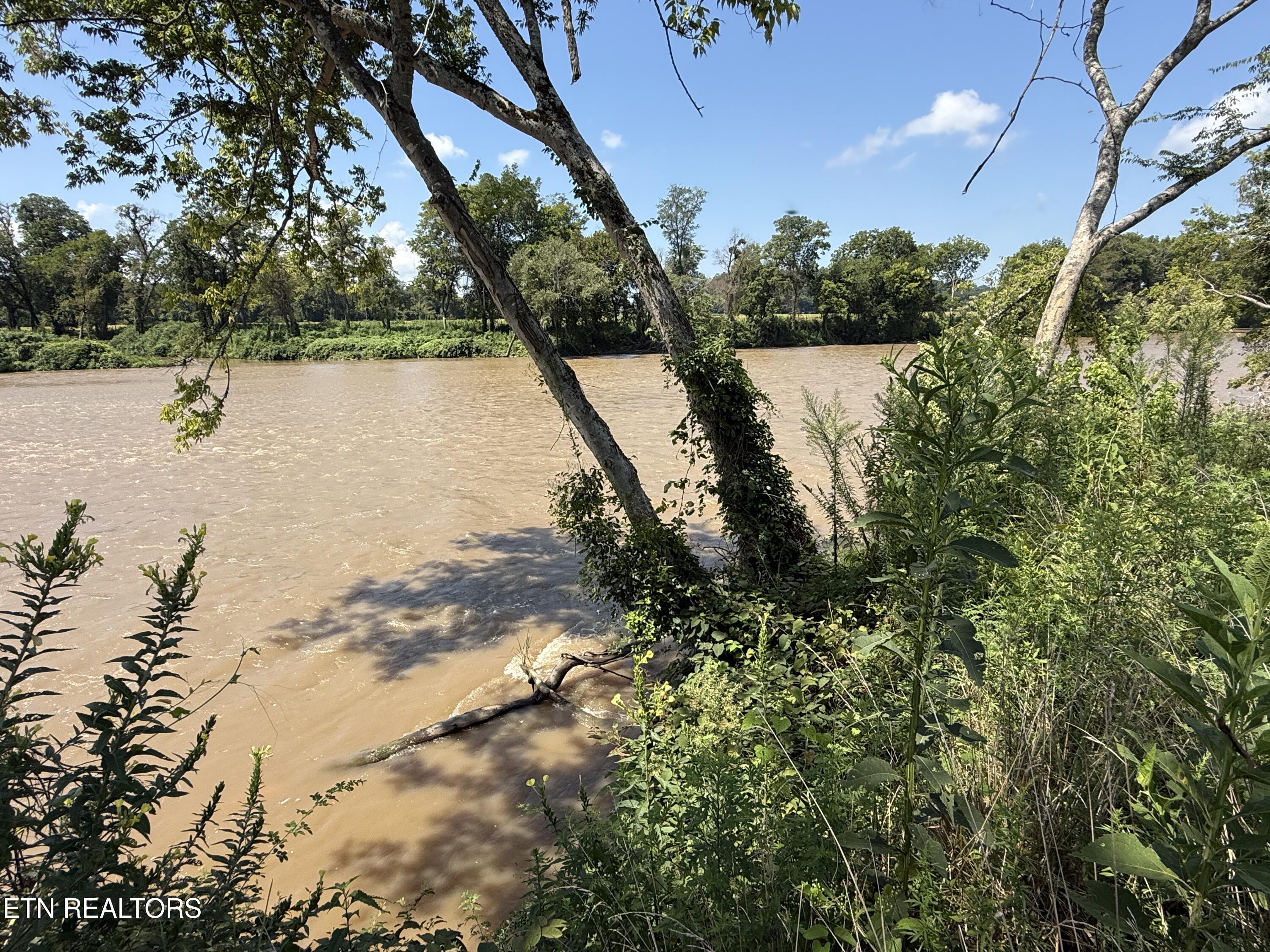 565 Highway 160 Newport, TN 37821 - Photo 18 of 40 IMG_3857