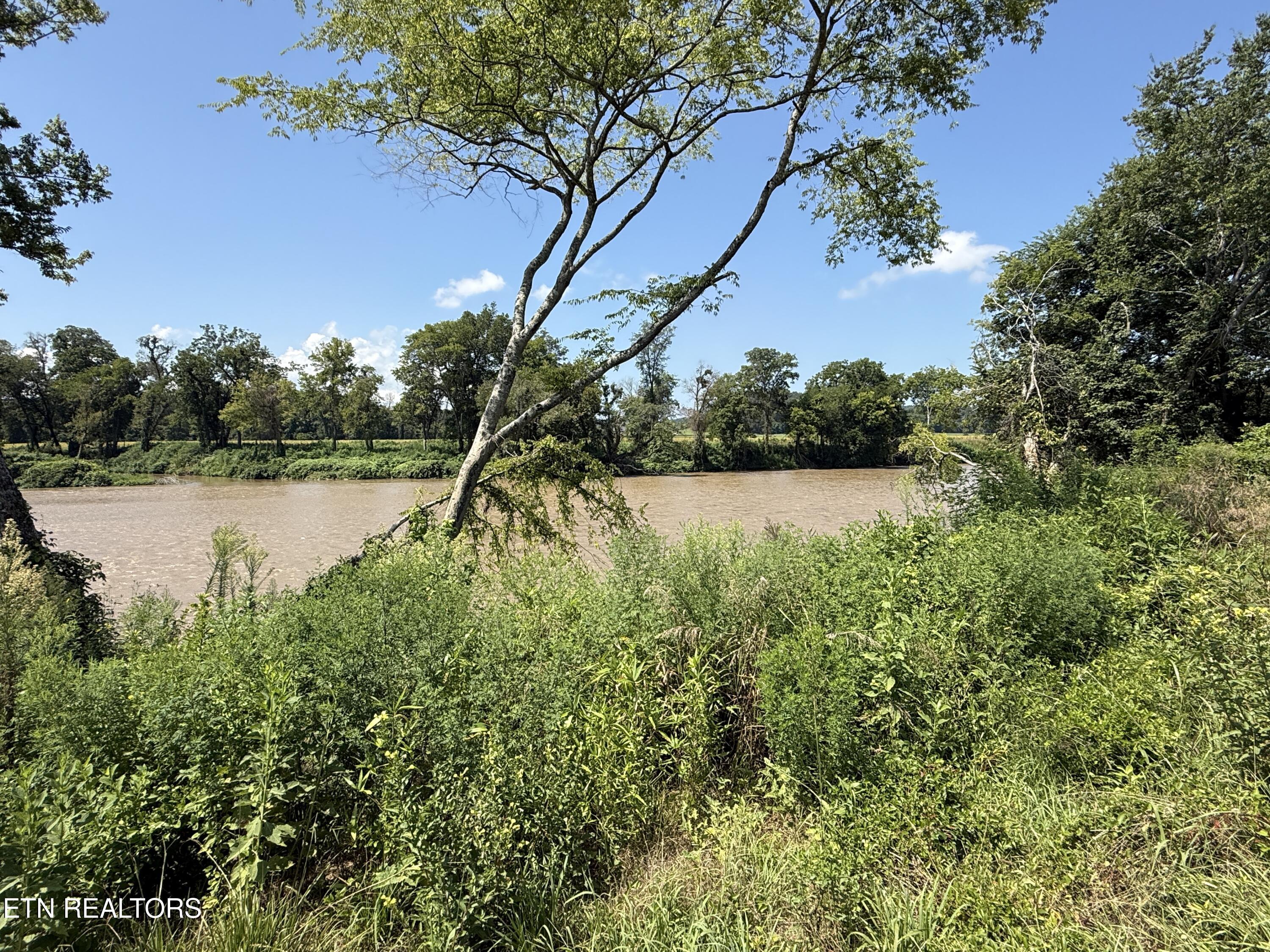 565 Highway 160 Newport, TN 37821 - Photo 19 of 40 IMG_3859