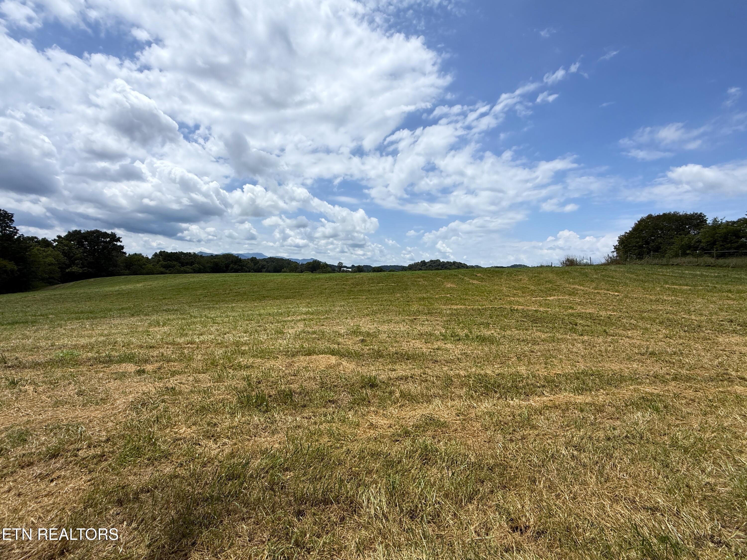 565 Highway 160 Newport, TN 37821 - Photo 2 of 40 2