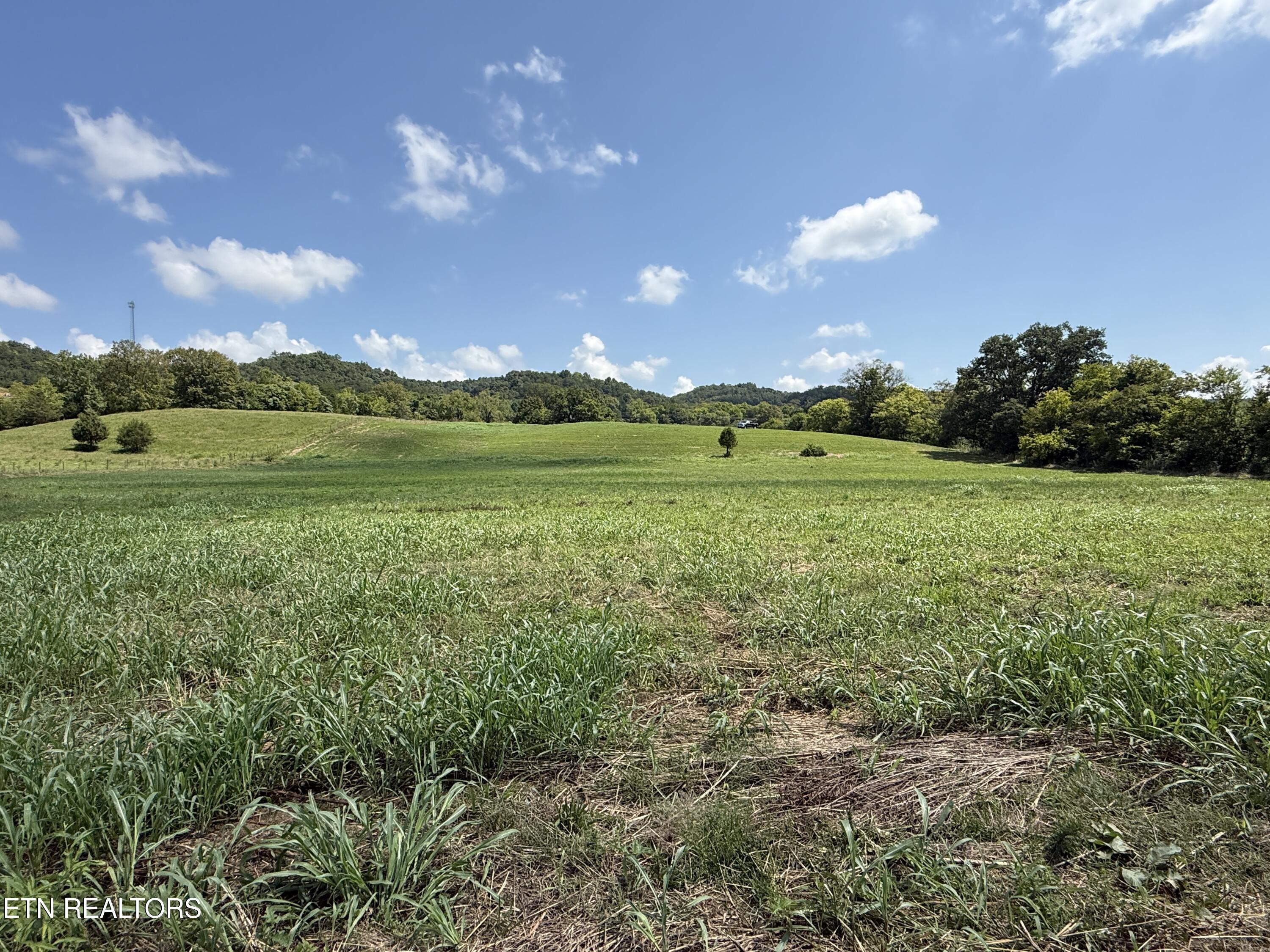 565 Highway 160 Newport, TN 37821 - Photo 21 of 40 IMG_3863