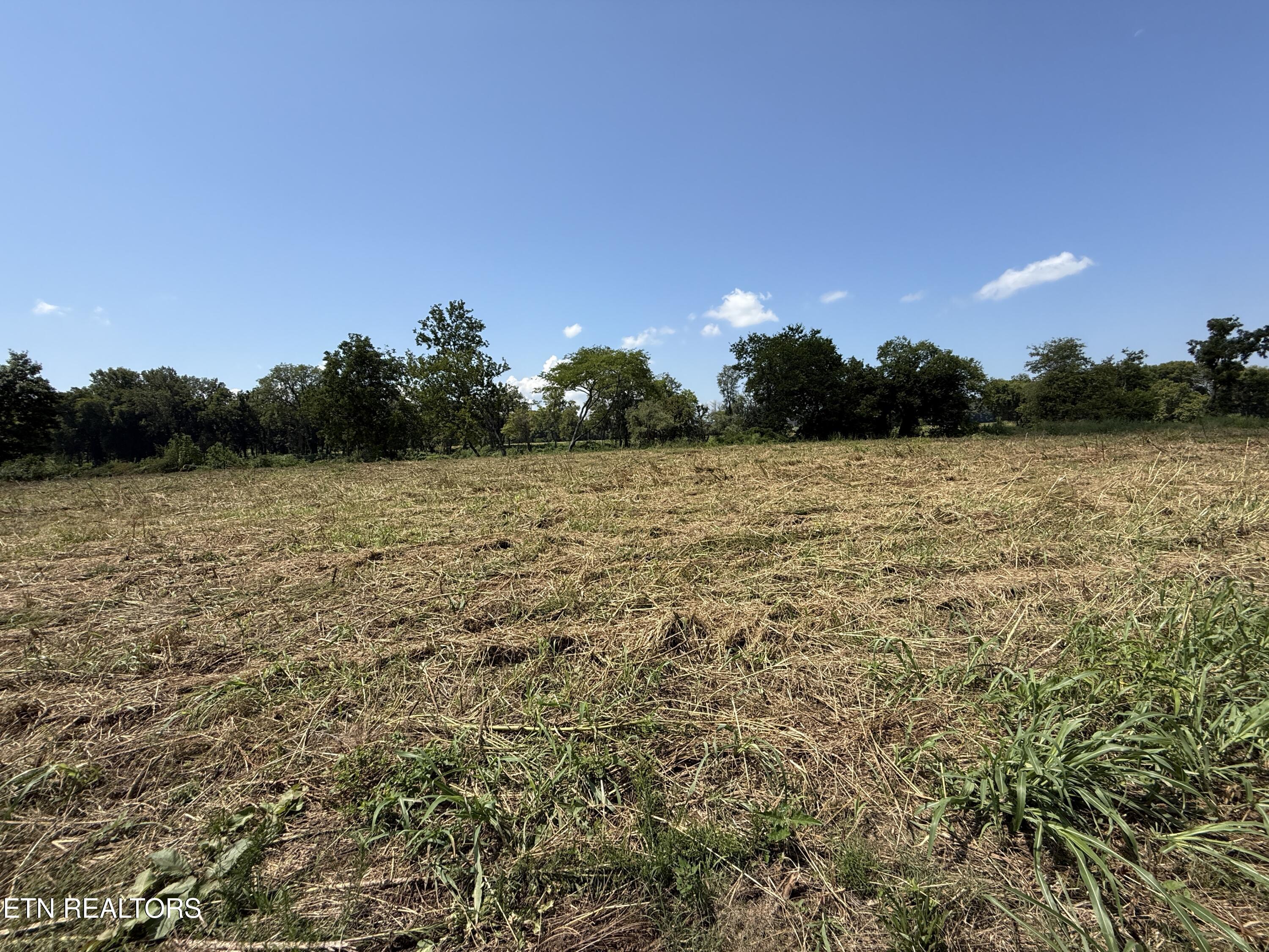 565 Highway 160 Newport, TN 37821 - Photo 23 of 40 IMG_3864