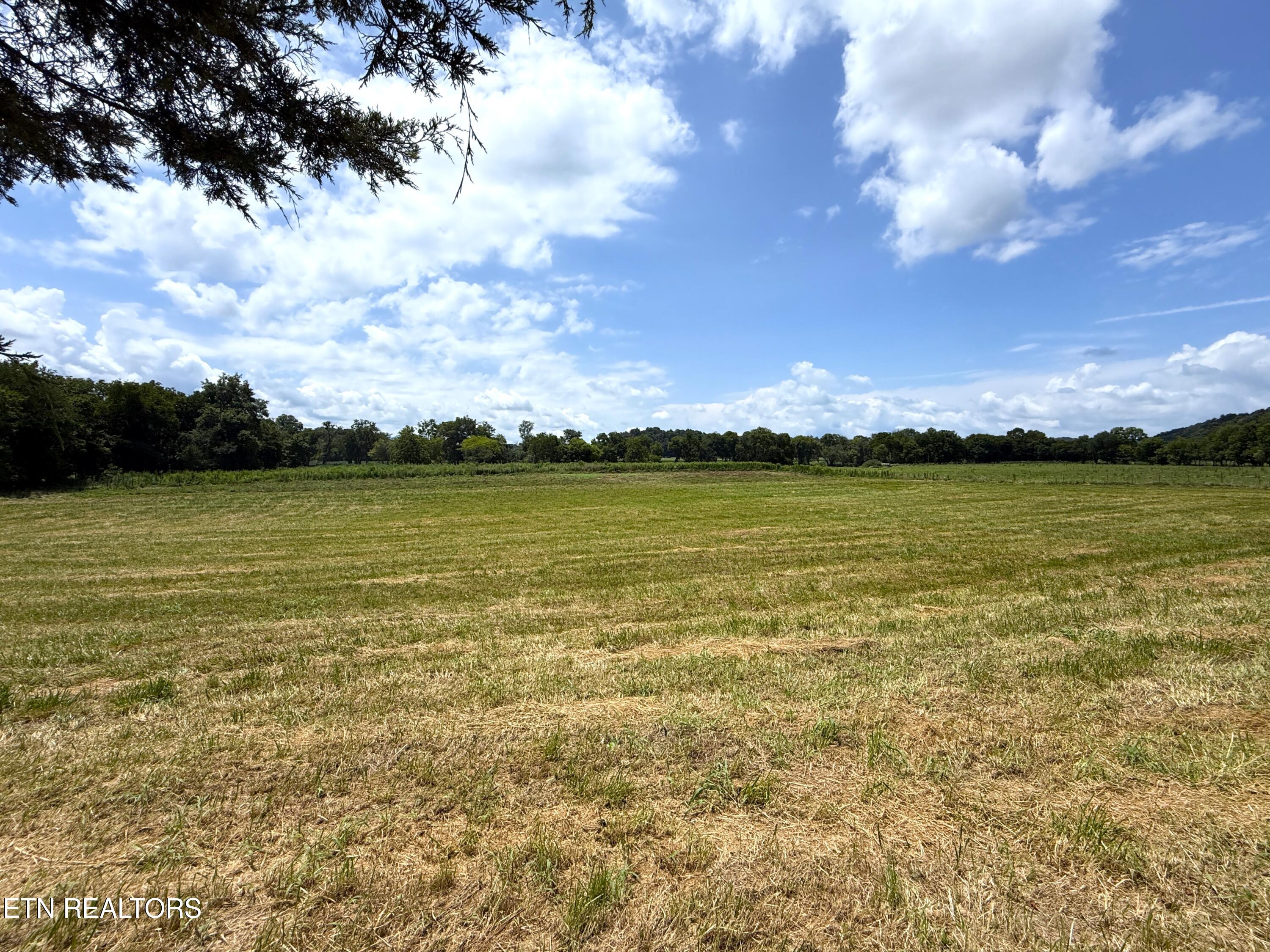 565 Highway 160 Newport, TN 37821 - Photo 7 of 40 7