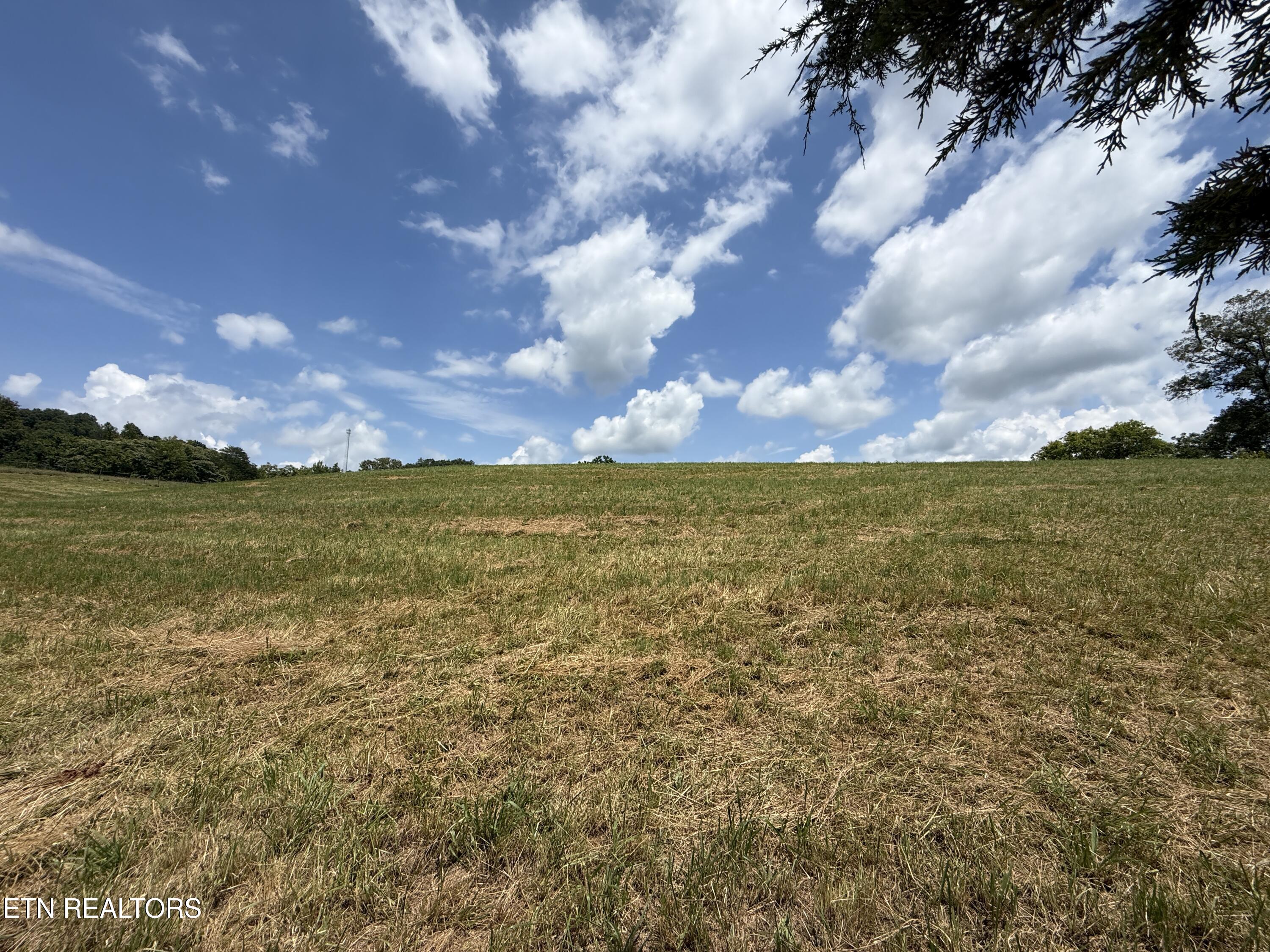 565 Highway 160 Newport, TN 37821 - Photo 8 of 40 8