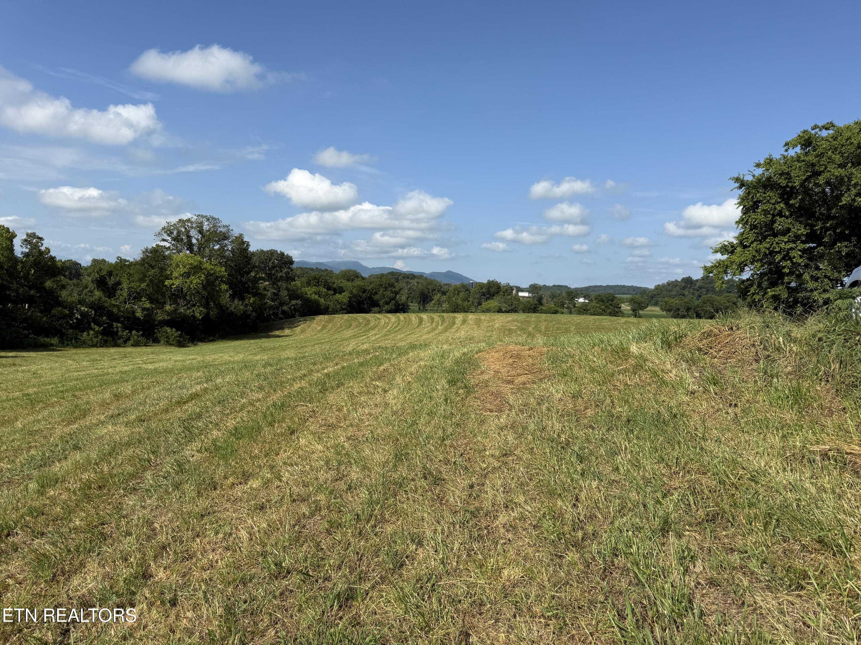 565 Highway 160 Newport, TN 37821 - Photo 9 of 40 9