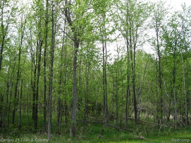 6038 Bordman Road Romeo, MI 48065 - Photo 29 of 32 IMG_3957.jpg