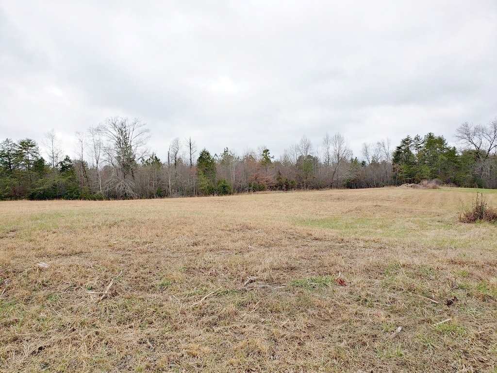 0 County Road 187 Decatur, TN 37322 - Photo 19 of 35 Gallery Image 19