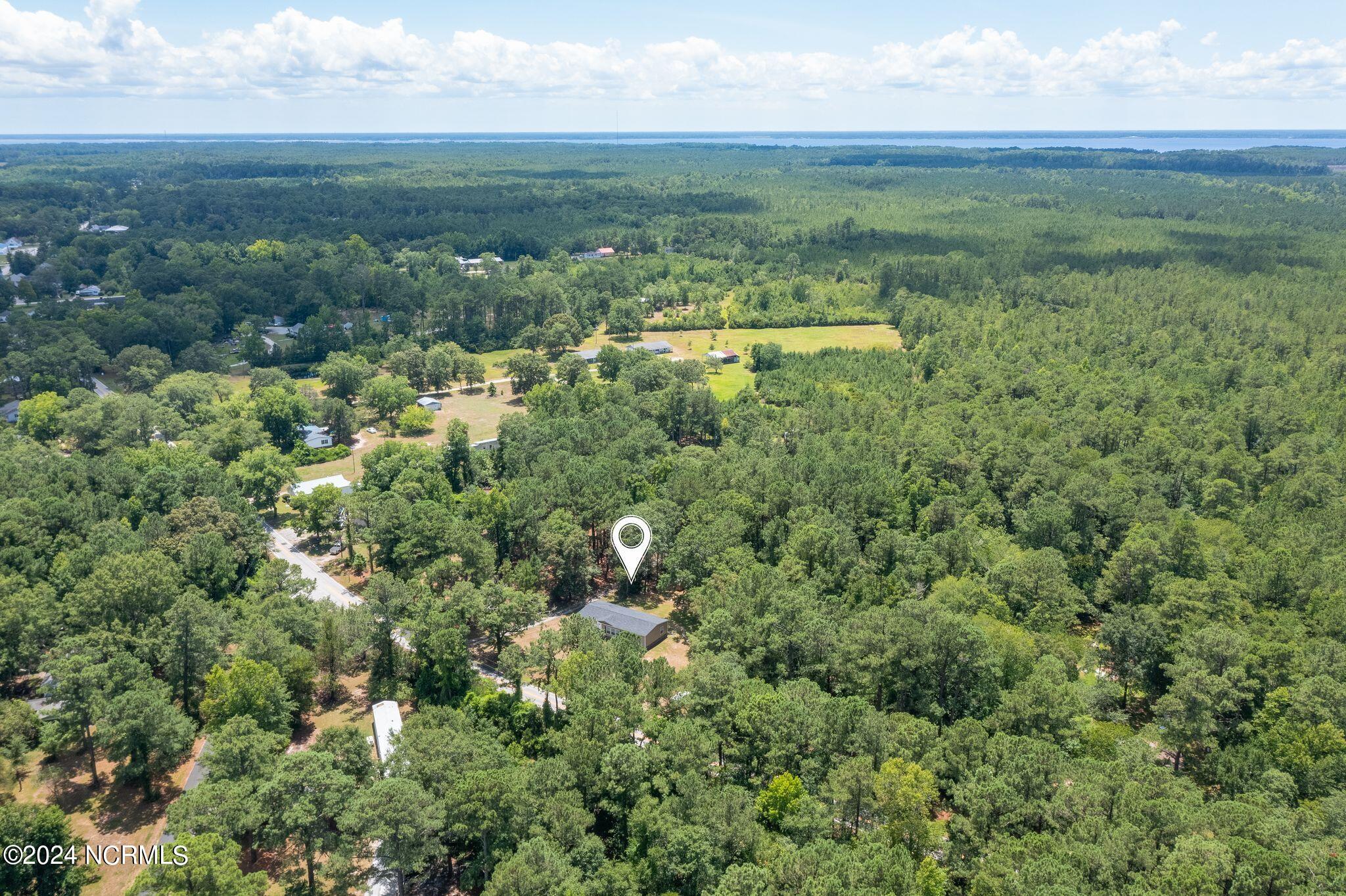 10320 Neuse Road Grantsboro, NC 28529 - Photo 50 of 55 Aerial View